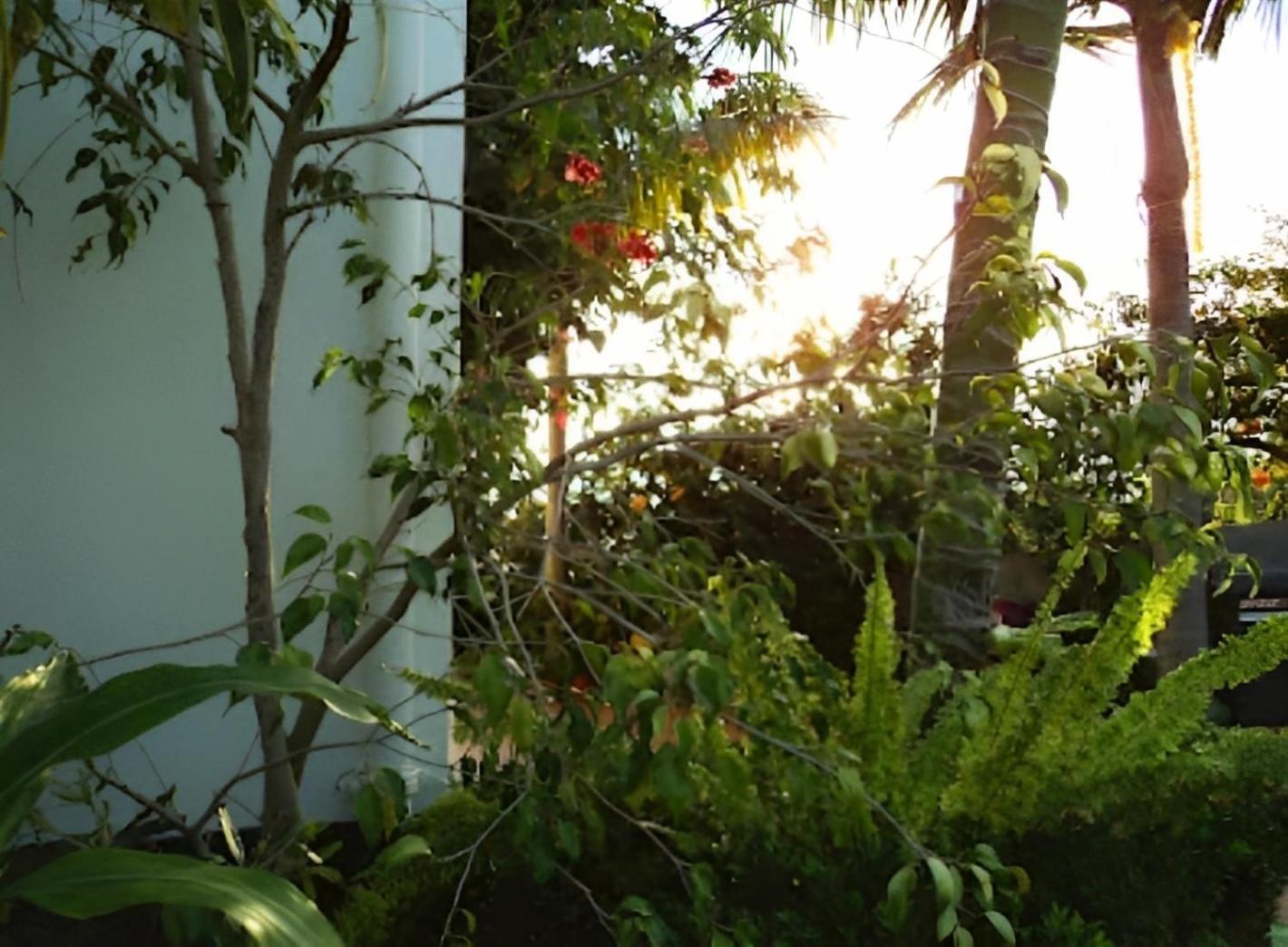 Eden Villa - Pool, Barbecue, Spectacular Views, Up To 7 Guests Funchal  Bagian luar foto